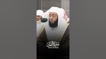 إِنَّكَ لَا تُسْمِعُ الْمَوْتَىٰ وَلَا تُسْمِعُ الصُّمَّ الدُّعَاءَ الشيخ بدر التركي سورة النمل