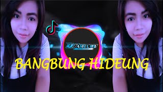 DJ BANGBUNG HIDEUNG REMIX BY DJ AMEL - IMP. ID ( azmy z )
