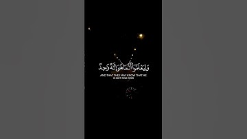 هذا بلاغ للناس ولينذروا به || سورة إبراهيم #شايع_التميمي #غزة_تنتصر_للقدس #استغفر_الله