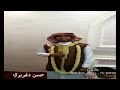 شله بتنا حسن شله بتنا حسن