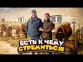 Современная ферма. Породистые коровы из Германии | Молодая Ферма