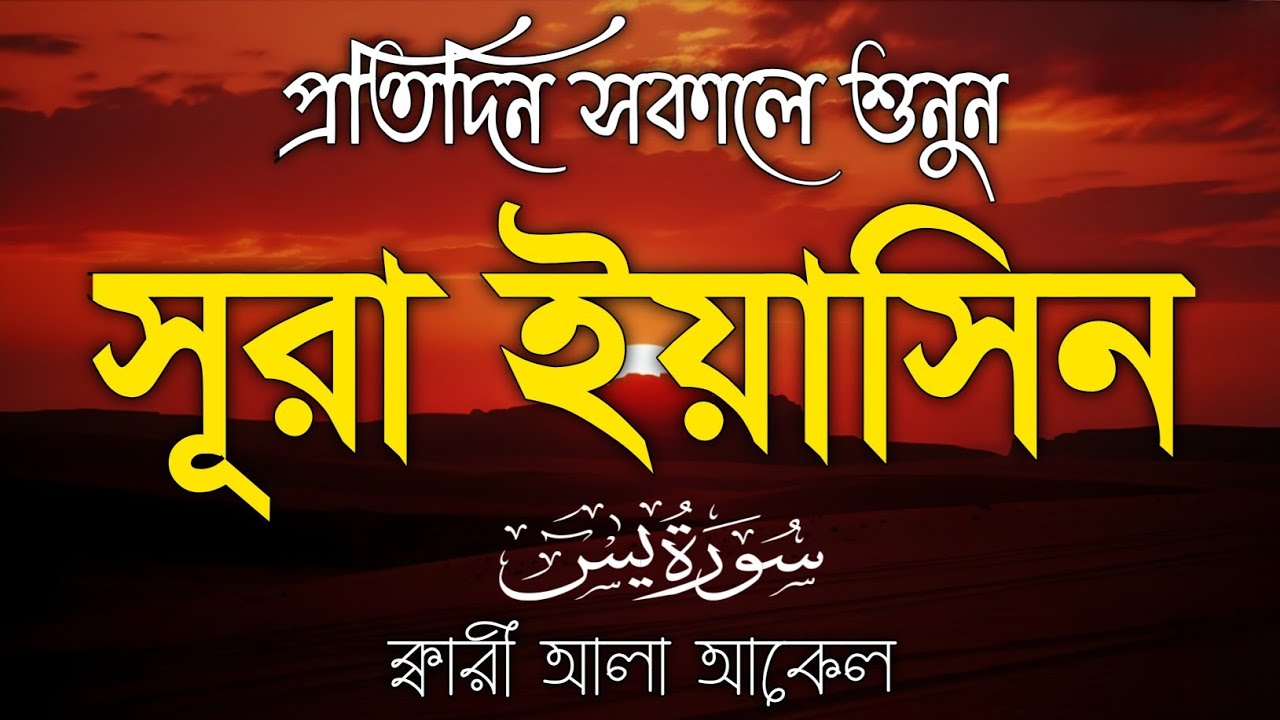 প্রতিদিন সকালে শুনুন – মন জুড়ানো কণ্ঠে সূরা ইয়াসিন | (سورة يس) Surah Yasin | Morning Tilawat