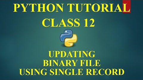 CS WITH NS  || UPDATE IN BINARY FILE USING SINGLE RECORD || COMPUTER SCIENCE WITH PYTHON || CLASS 12