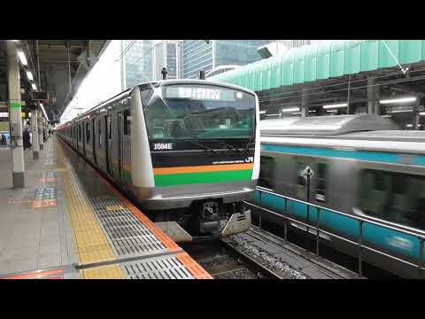 上野東京ラインＥ２３３系１０両　宇都宮行き　東京駅発車
