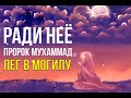 Женщина, ради которой Пророк Мухаммад ﷺ лег в могилу