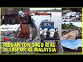 Ekspor Sagu Menuju Malaysia | Kampung Nusantara