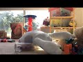 I put my camera on a toy ship