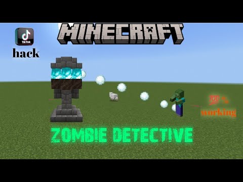 Trying tiktok hack in Minecraft. zombie detector. #minecraft # ...