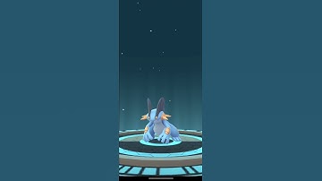 Evolving Marshtomp into Swampert in Pokémon GO