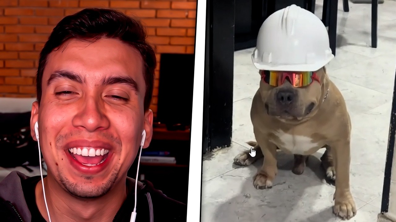REACCIONANDO A LOS TIKTOKS DE ANIMALES MAS RAROS DEL MUNDO!🐔