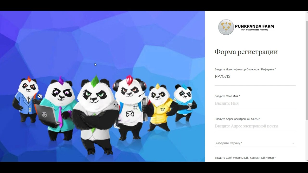 Как правильно зарегистрироваться в мессенджере Punk Panda