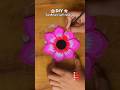 diy wall hanging ideas #shorts #viralshorts #wallhanging #cardboardcraft #handmade #diy