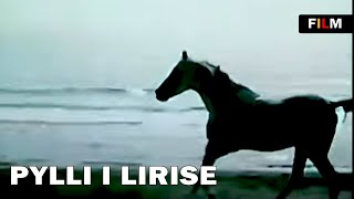 Pylli i Lirise (Film Shqiptar/Albanian Movie)