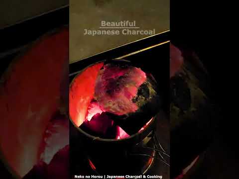 The Sound Inside the Fire