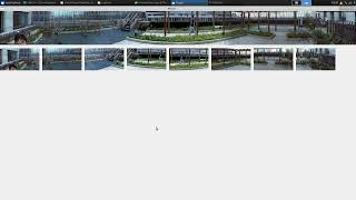 Real-time Panoramic Image Stitching