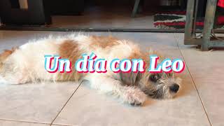 Un día con Leo