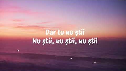 Carla’s Dreams x Blacklist - Nu Stii (Versuri/Lyrics)
