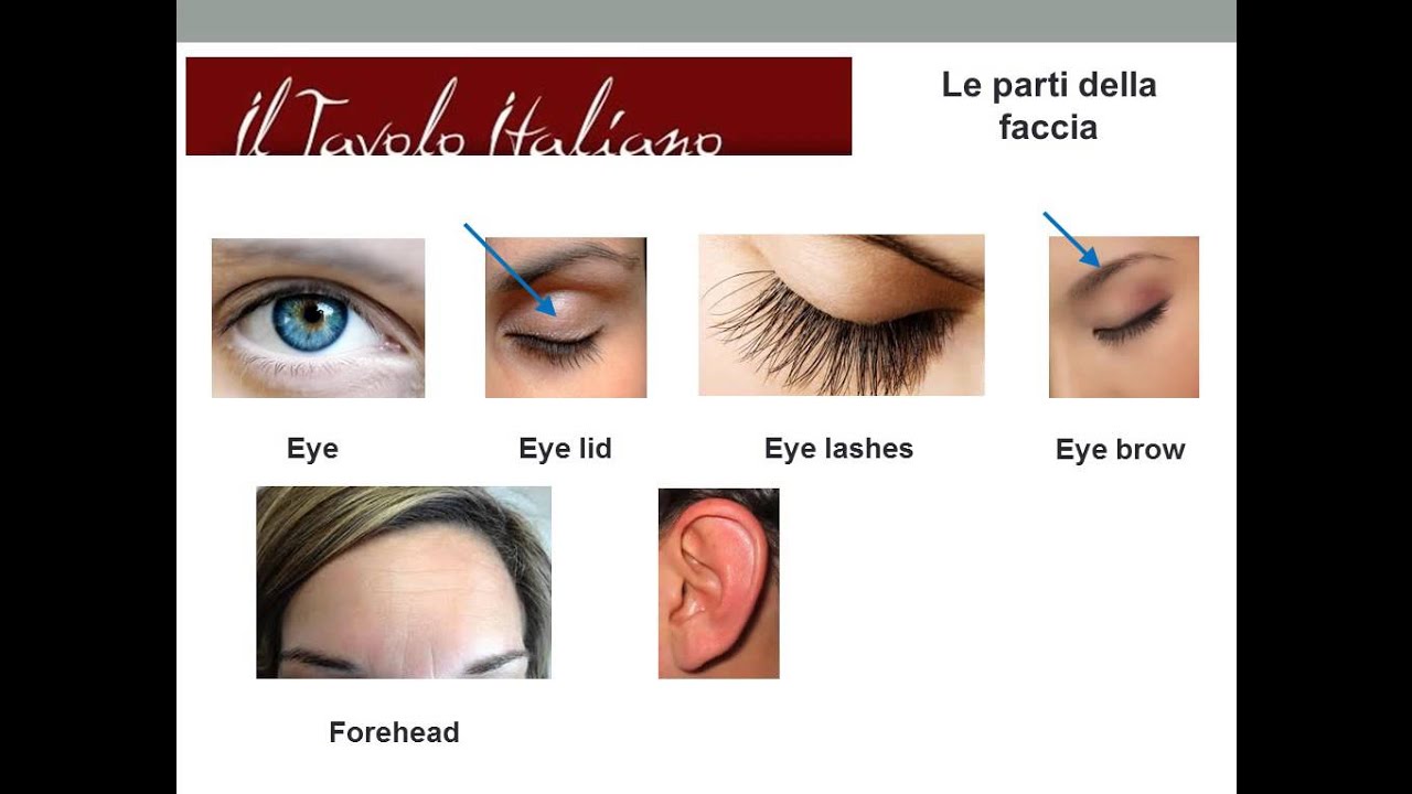Imparando a parlare linglese il vocabolario delle parti di una ... Descrizione di una foto in inglese