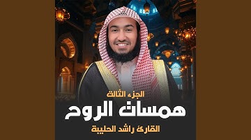 ما تيسر من سورة النحل