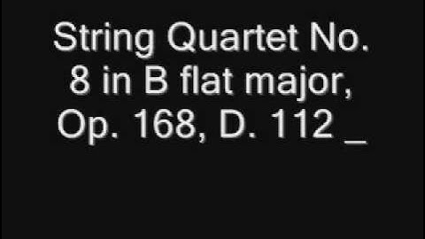 String Quartet No. 8 in B flat major, Op. 168, D. 112 _.wmv