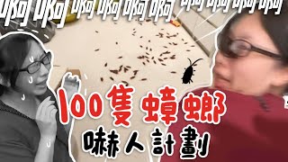 【100隻假蟑螂嚇人計劃】志銘與狸貓