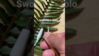 Modern Biology - Swordfern Solo - musical transmissions from the plant world🌿💚🌿#shorts #synth #music