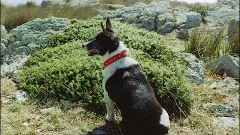 Ethel Memorial