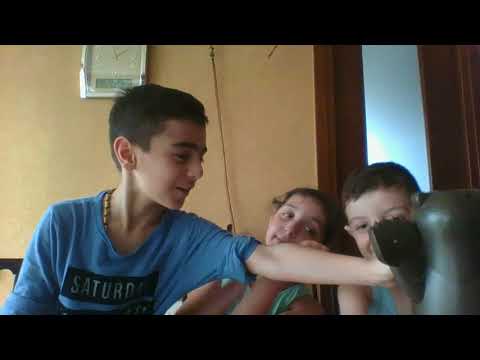 ადიაTV ვთამაშობთ სათამაშო დათვით