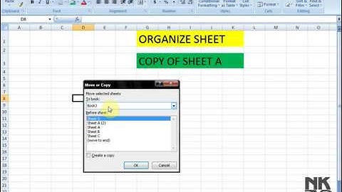 Lesson # 25 The Organize Sheet Microsoft Office Excel 2007 TutorialUrdu & Hindi   YouTube