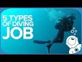 5 Types Of Diving Job