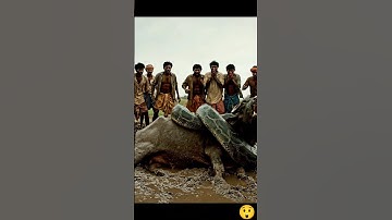 Python Attacks Buffalo in Front of Villagers! 😱🐍🐃 #youtubeshorts #animals #shorts #viral