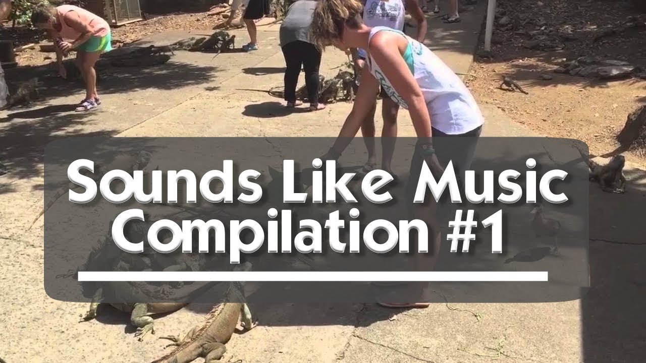 Sounds Like Music Compilation  1