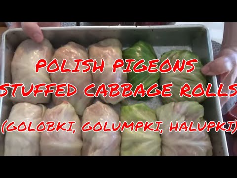 PIGEONS -- POLISH GOLABKI (GOLUMPKI, HALUPKI) --- STUFFED CABBAGE ROLLS
