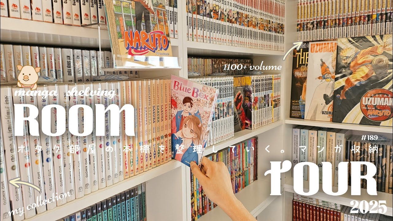 [4K] Manga Room Tour 2025 🐽 Manga Reorganize 📖 Manga Haul 🌸 Manga Bookshelf 👀 1100+ vol🌟Tầu Tẩu