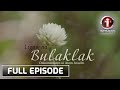 I-Witness: 'Ligaw na Bulaklak', dokumentaryo ni Atom Araullo | Full episode