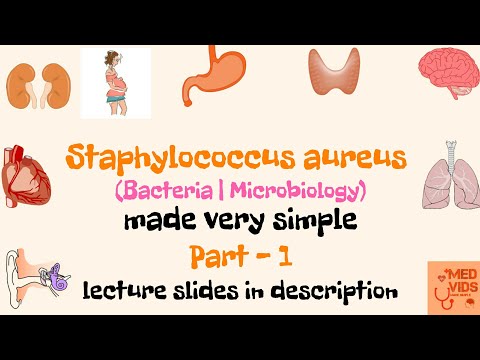 Staphylococcus aureus | Microbiology | Med Vids made simple