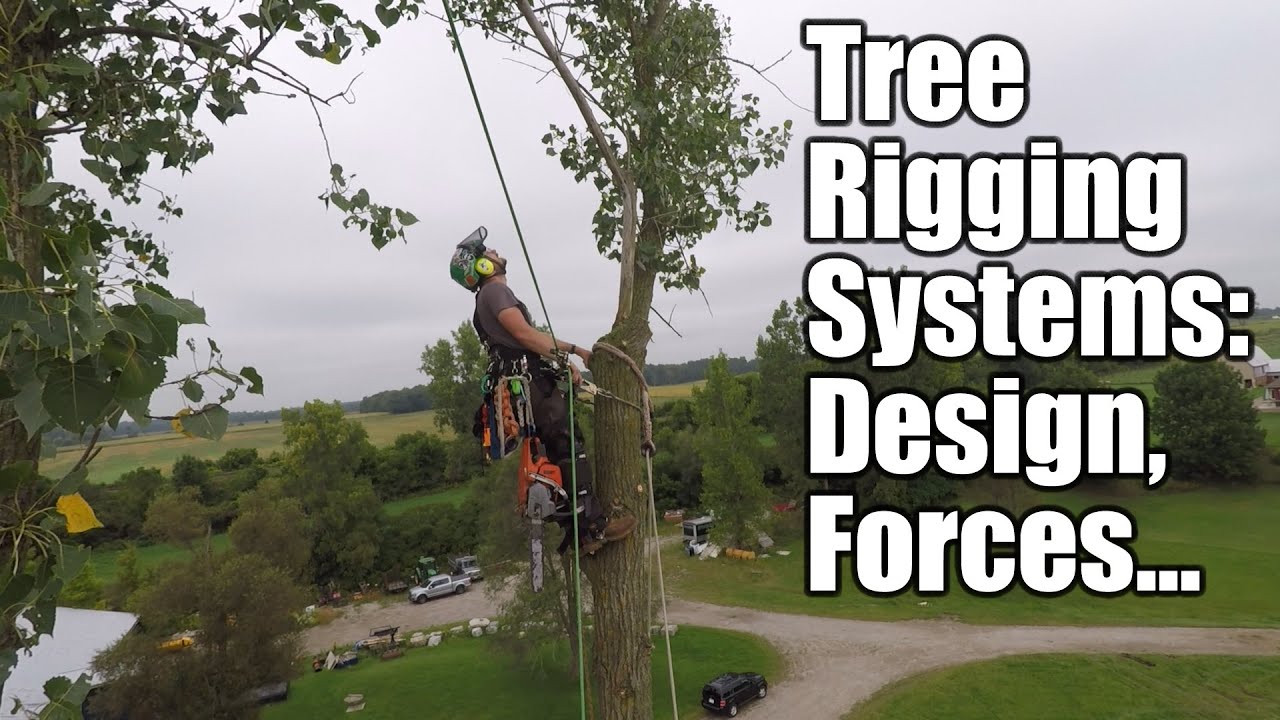 Part 2 - Rigging Concepts in Tree Work:: Moment, Angles, Load Sharing,  X-Rings, etc 