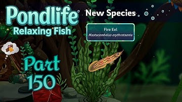 🐟 Pondlife - Relaxing Fish Game Walkthrough Part 150 | Mobile Gameplay (Android/iOS)