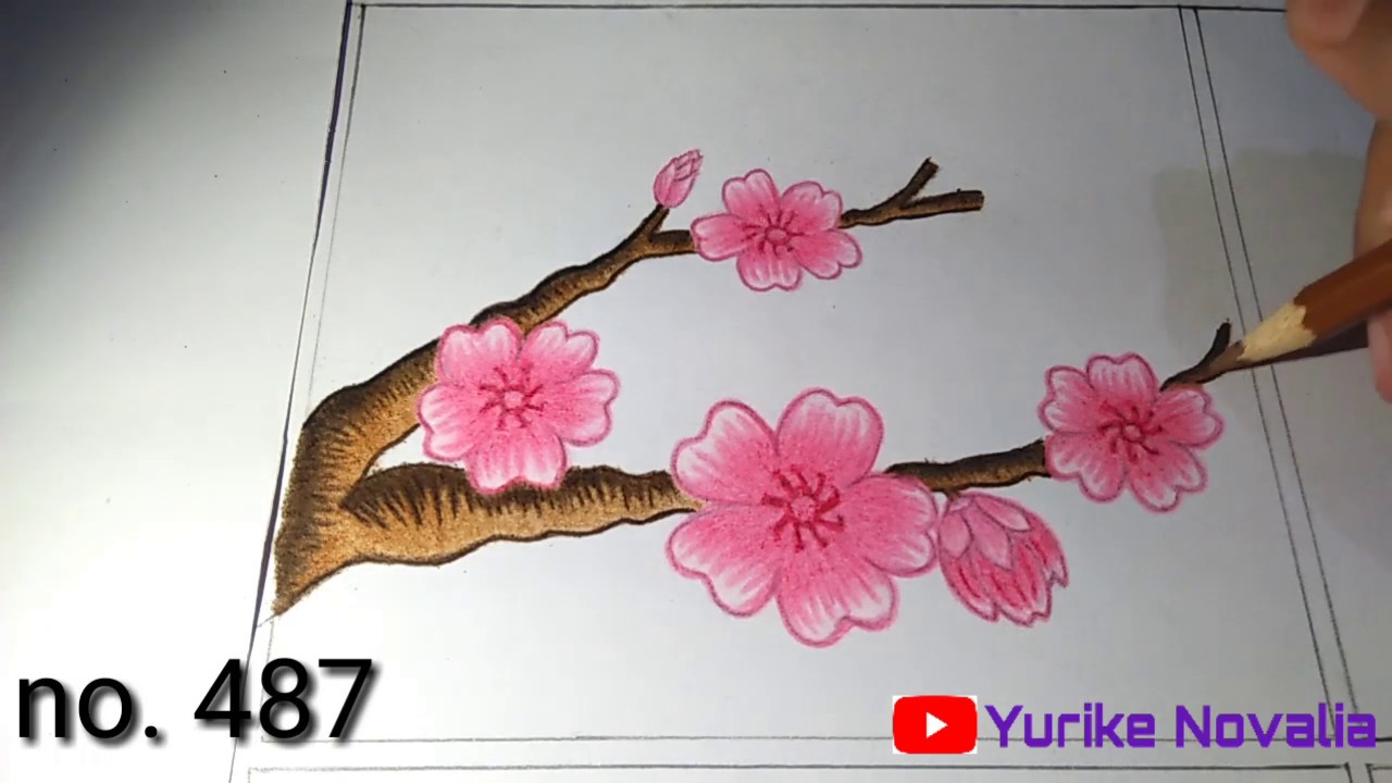  Cara  Mewarnai Bunga  Sakura  Gambar Sket Bunga  Dalam 