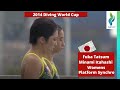 2014 Fuka Tatsum &amp; Minami Itahashi - Team Japan - Womens Platform Synchro Diving World Cup