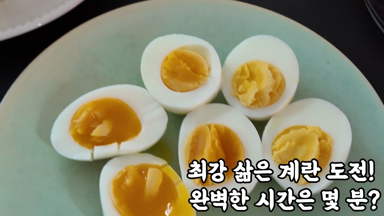 최강 삶은 계란 도전