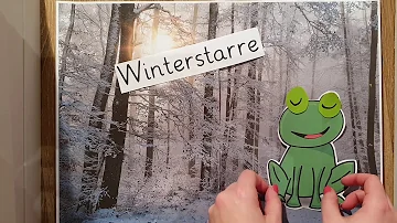 Warum erfrieren Frösche im Winter nicht?