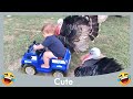 Funnest Baby Playing With Animals #4