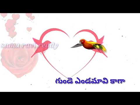 Chinnari Chinnari Chiluka Best Love............ Lyrics...... What's App Status.......Sama Ravi Reddy