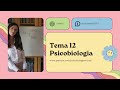 TODAS las preguntas tema 12 (exámenes 2023) psicobiologia UNED - PSICOLOGIA