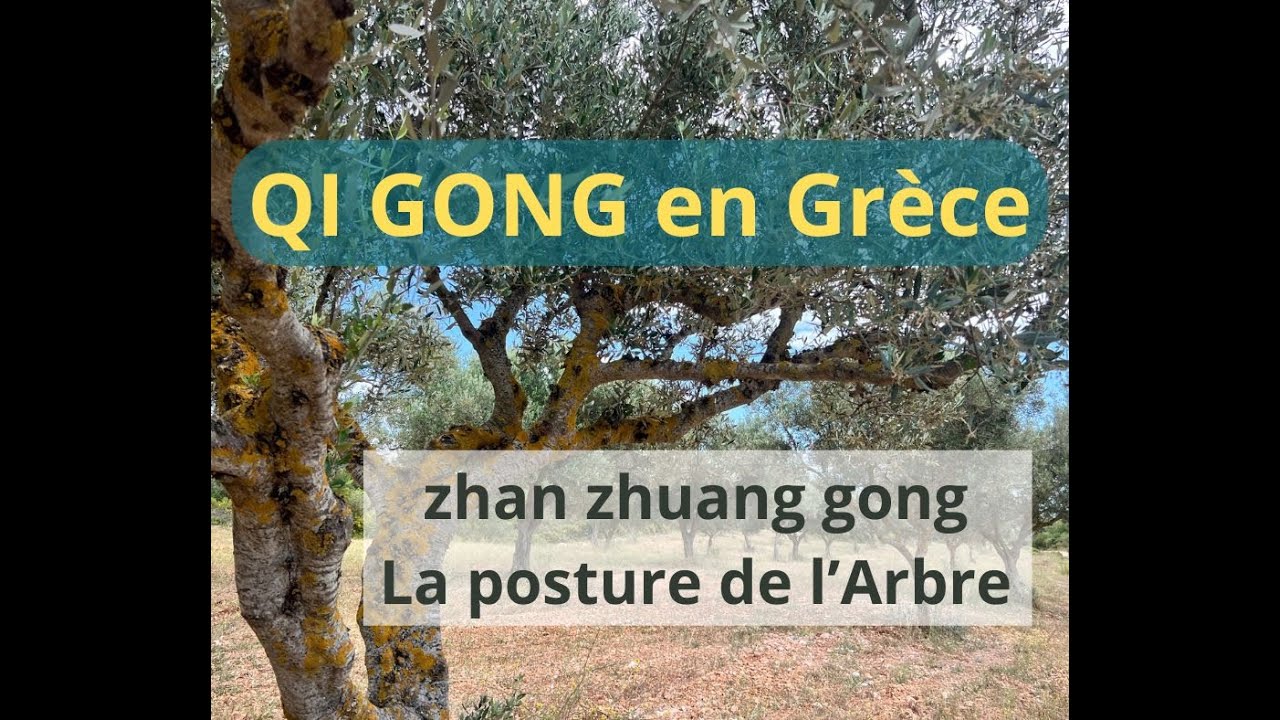 Posture de l’arbre - Zhan Zhuang Gong - YouTube