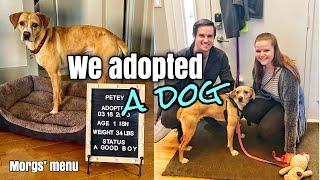 WE ADOPTED A DOG! | Meet Petey