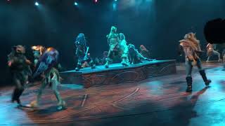 Hong Kong Disneyland lion king show.