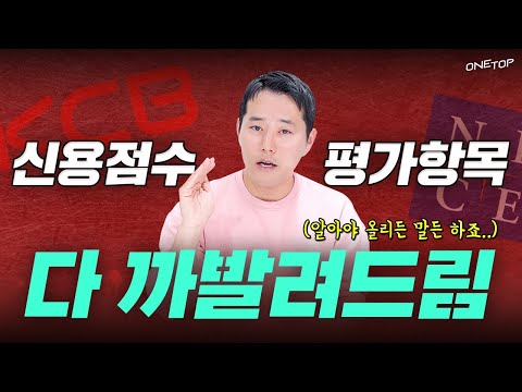   전직 은행원이 알려주는 신용점수 신용등급 평가항목의 모든 것 I 정책자금 신보 기보 재단 대표자 신용점수 올리려면 필수시청