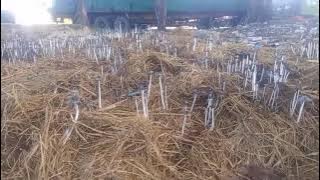 story WA mendem MLETRE DJ bahagia viral TIKTOK!!!!👍👍